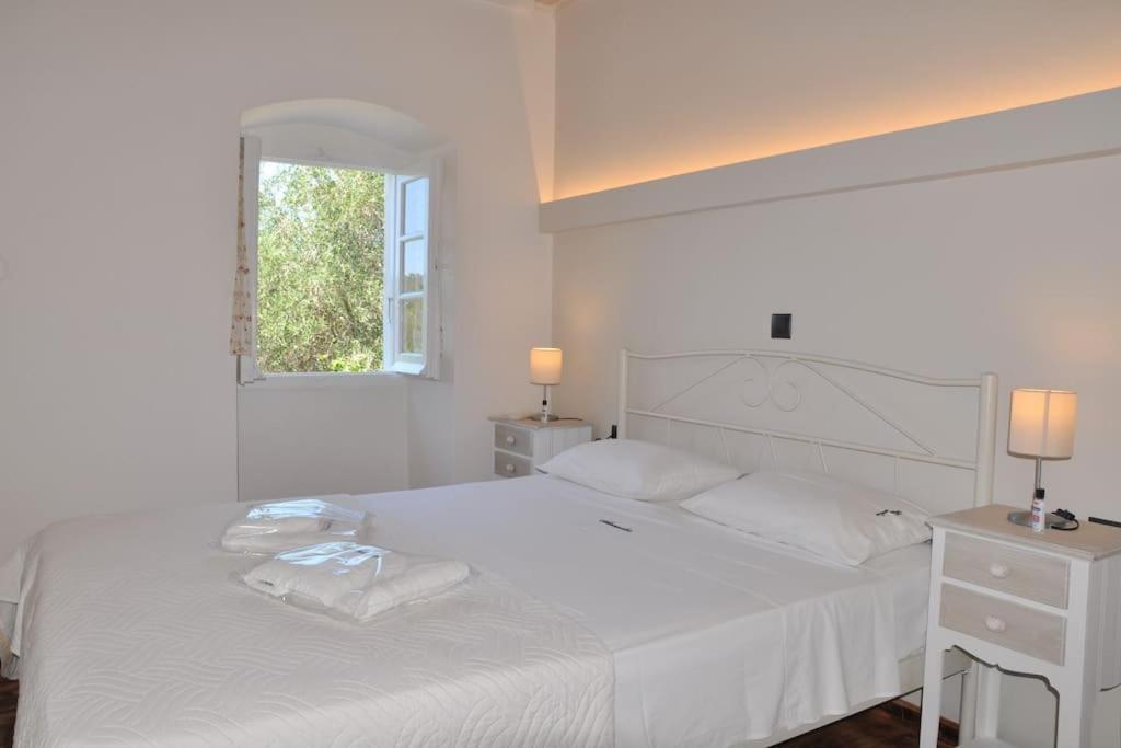 Villa Paxos Adamantia With Private Pool 盖奥斯 外观 照片
